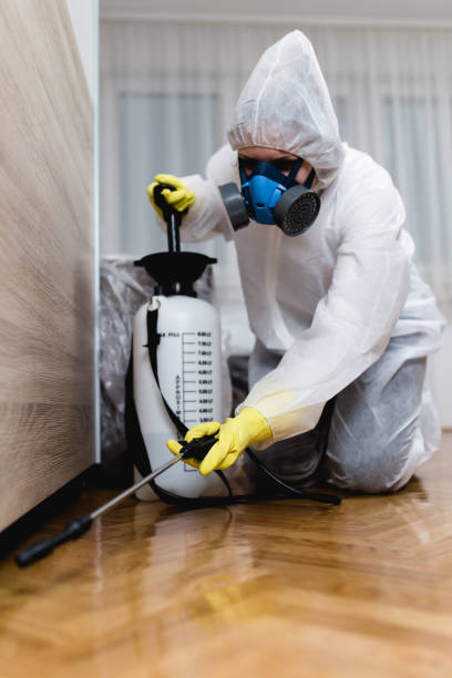 Best Pest Control for Hotels  in Coraopolis, PA